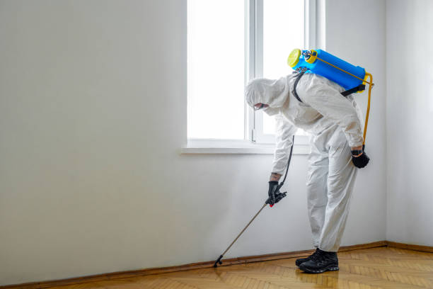 Best Residential Pest Control  in La Junta, CO